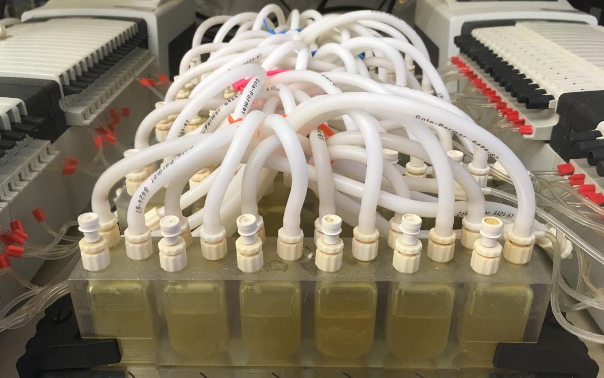 Image of bioreactors